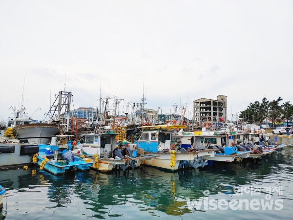 전북 군산시 비응도동 비응항에 정박된 선박(사진=오세영 기자)